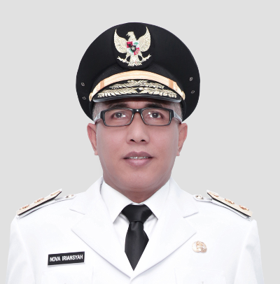 Wakil Gubernur